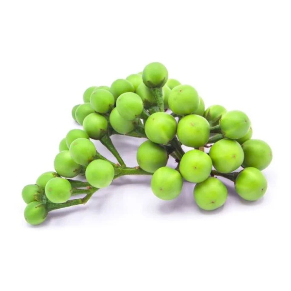 Pea Eggplant