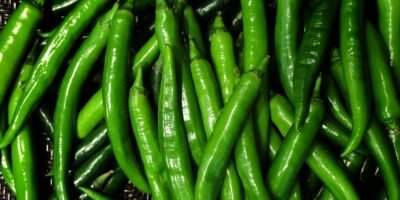 Exploring the Nutritional Wonders of Hot Green Peppers