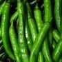 Exploring the Nutritional Wonders of Hot Green Peppers