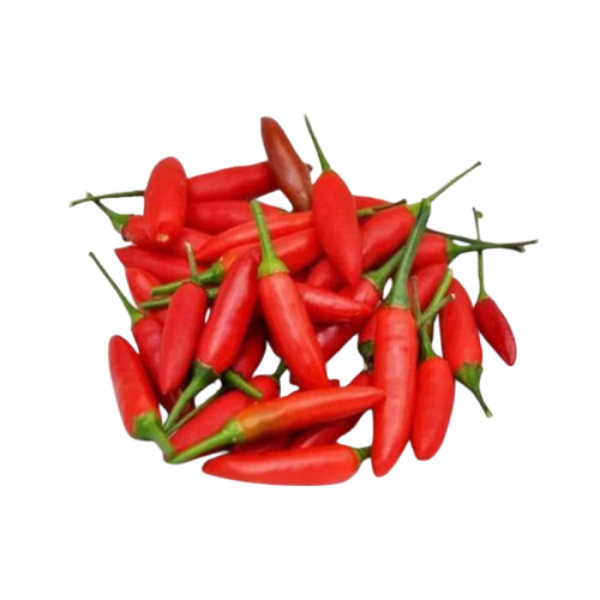 Red Rawit Chilli
